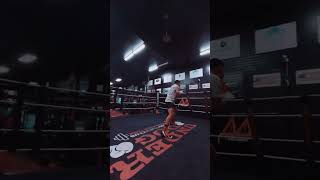 Ofacio The Sniper Falcon