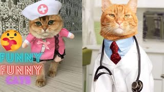 2 HOUR BEST FUNNY CATS COMPILATION 2023 😂| The Best Funny And Cute Cat Videos 20 !😸 😸