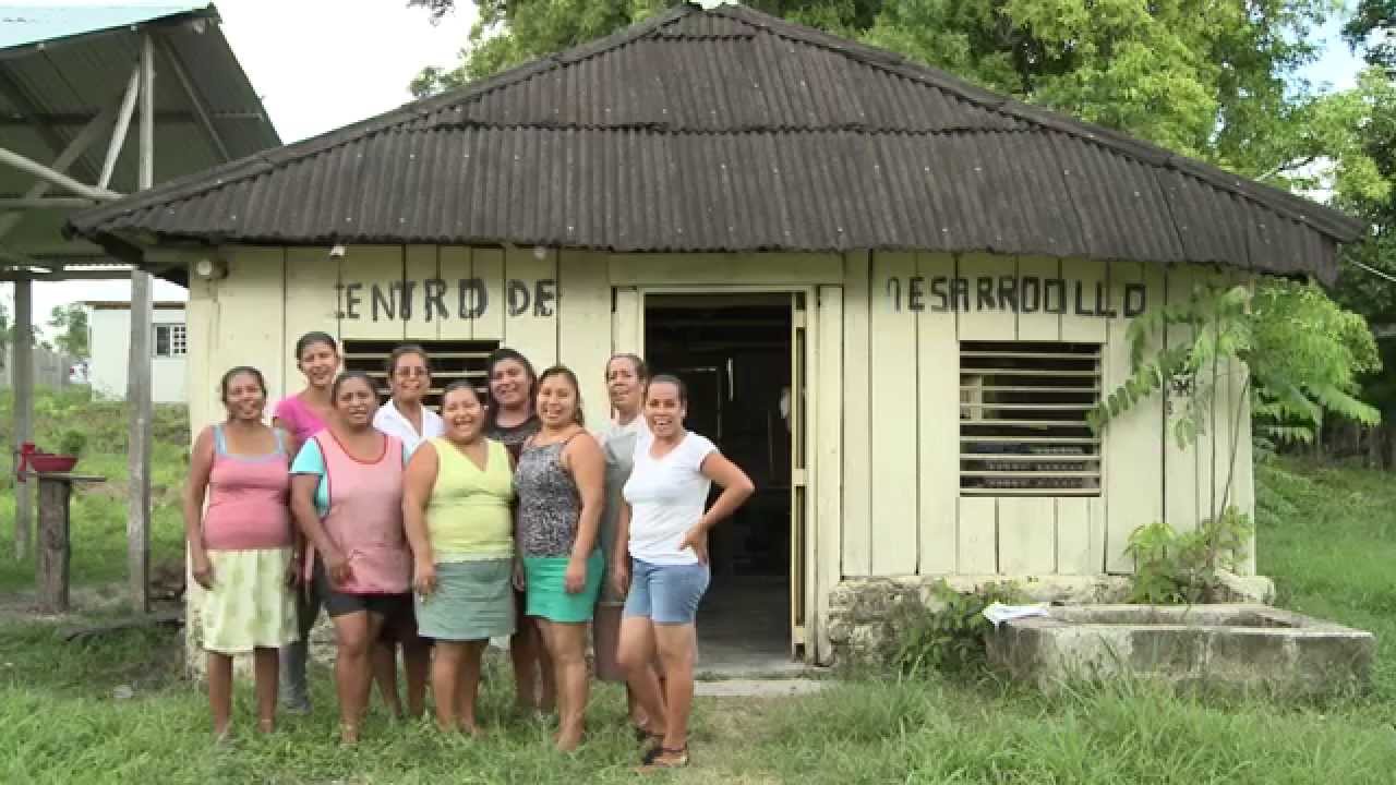 Selva Viva, Reforestamos Mexico