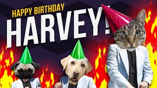 Happy Birthday Harvey - Its Time To Dance