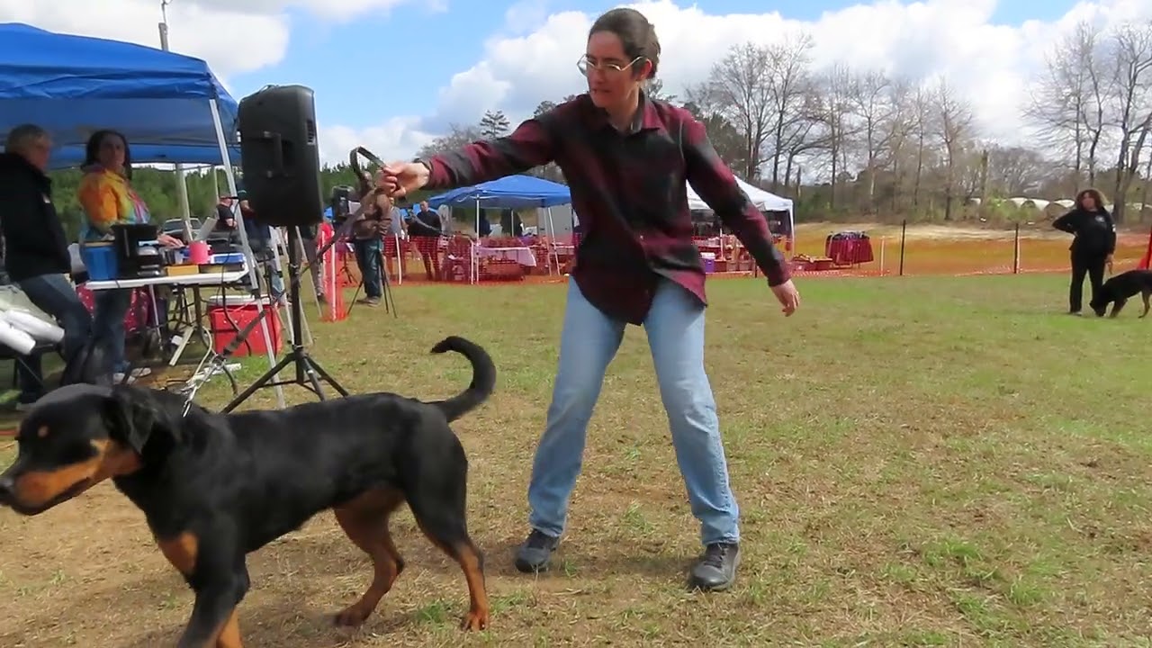 2026-Feb-28 - Odom's Illest Lexi vh d Beschutzers - Excused - lame