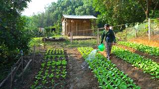 No Money, No Support: Single Mom Grows Vegetables to Feed Her Child