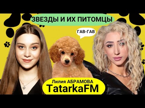 Лилия Абрамова (Tatarka FM) об ответственном отношении к животным .