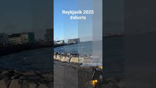 #Reykjavik #Iceland #Lake #Birds #Nature #TravelIceland #Iceland2025 #IcelandNature #NordicLife
