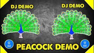 PEACOCK🦚 COMPETITION😎 DEMO 🎧2023👹😈 FULL COMPETITION PEACOCK🦚 DEMO🔥