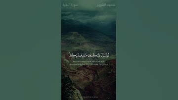 #تلاوة #قرآن_كريم #اكسبلور #راحة_نفسية #غزة