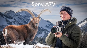 Sony A7V – The Best Camera for 2026? Field Test in the Alps 