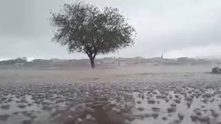 جوانترين ديمةنئ باران بارين 🌧️