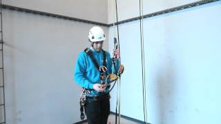 : PETZL ROLLCLIP