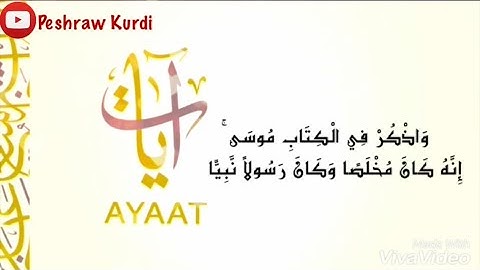 اجمل تلاوة عراقيه بصوت الشاب الكرد بيشراو شعبان الكردي / قناة ايات بدون صدا صوت