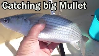 #fishing in malta a simple guide to good fishing