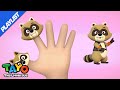 [PLAYLIST] #TAYO | The Raccoon Finger Family Song | Tayo song for kids