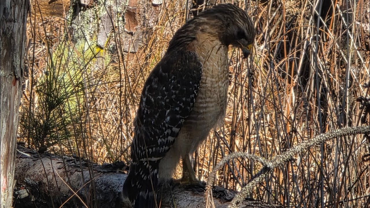Trail riding in Richloam
