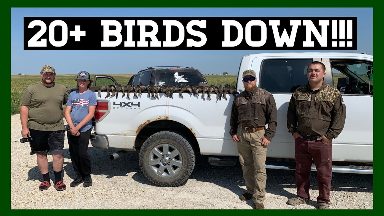 Best Teal Opener We’ve Had!!! II Iowa Waterfowl 2023 YouTube