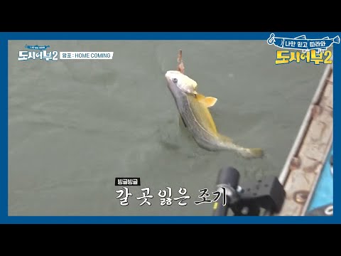 &amp;#39;안녕히계세요~&amp;#39; 경규의 &amp;#39;<strong>조기</strong>&amp;#39; 퇴근 쇼★쇼★쇼!! <strong>눈</strong> 앞에서 놓친 <strong>조기</strong>...;; | 도시어부 시즌2 26 회