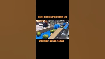 Mango cleaning sorting packing line #jcsort #sortingmachine #mango