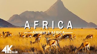 FLYING OVER AFRICA (4K UHD) - Relaxing Music Along With Beautiful Nature Videos - 4K Video Ultra HD