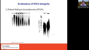 Using the capabilities of the Sequel II System for genome assembly and full-length16S sequencing
