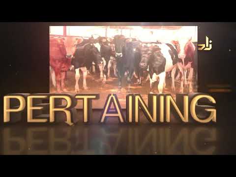 Issues Pertaining To Qurbani / Udhiya