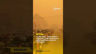 Jerebu tebal – Sedih tengok Indonesia, Langit kuning oren akibat kebakaran hutan di Kalimantan