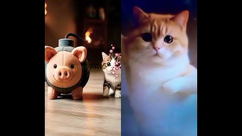 Mèo con vui cùng nhân vật Brainrot #kitten #funny #cute #brainrot