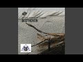 Miniature de la vidéo de la chanson Symphony No. 7 In A Major, Op. 92- Ii. Allegretto