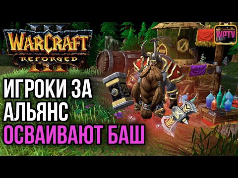 Видео: ИГРОКИ ЗА АЛЬЯНС ОСВАИВАЮТ БАШ В Warcraft 3 Reforged