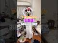 【切り抜き】汚部屋片付け生配信での奇行がエグすぎたw