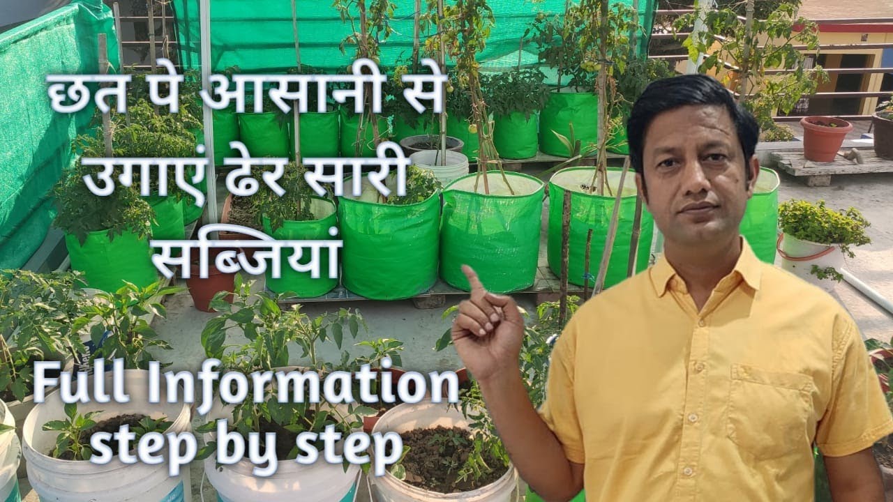 how to start terrace gardening. terrace gardening for beginners - YouTube