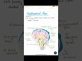 #anatomy #medical #biology #neetpg #medicalstudent #neet #study #studyhacks #knowledge #brain