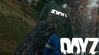 DayZ - Они напали неожиданно