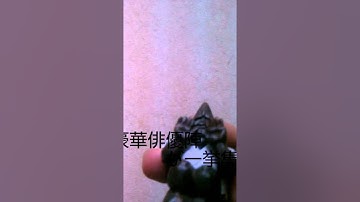 「新金曜ドラマ「ウロボロス」予告