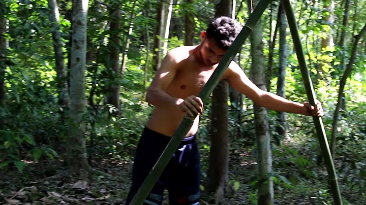 primitive technology: A-frame hut Part-3
