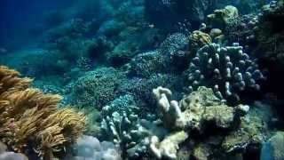 pulau nainWTIH GENK TUSA