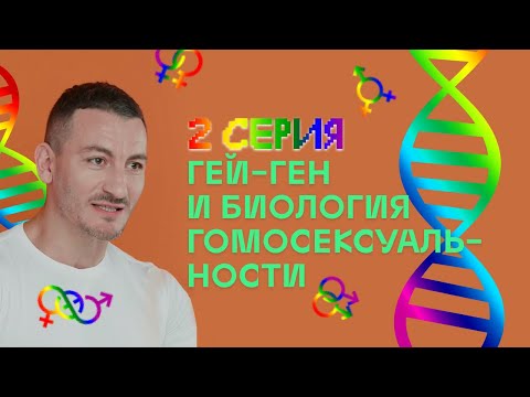 Видео: Бүх Кмит зөрүүд бөгөөд алдартай: 