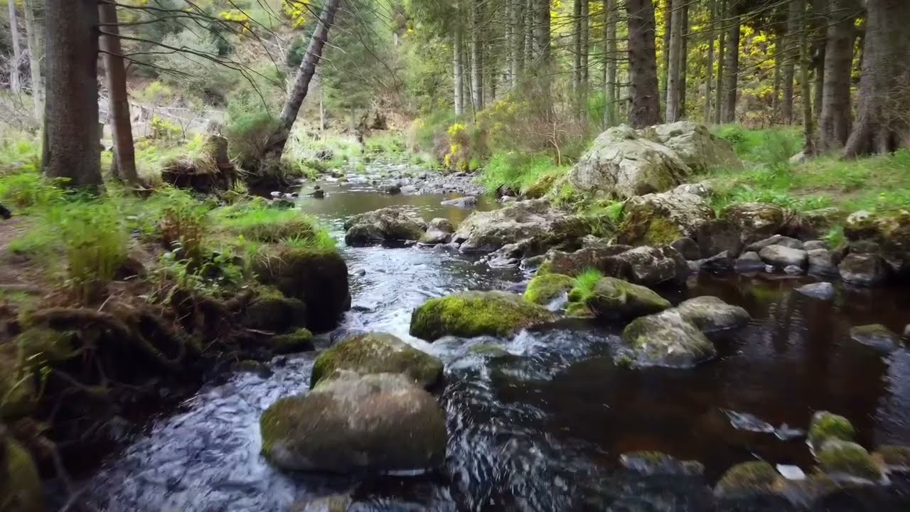 Crynoch Burn, Maryculter, Aberdeenshire