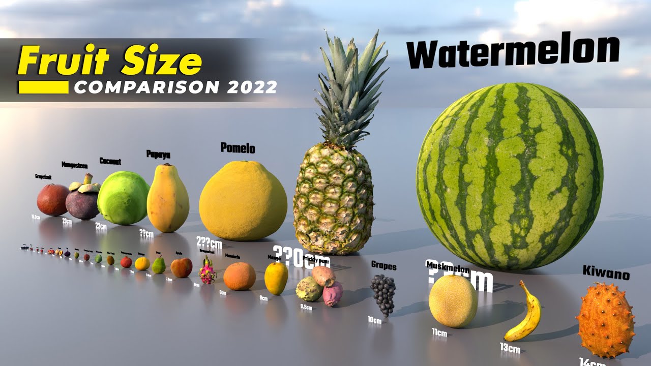 Fruit Size Comparison Fruits Name Size Comparison 54 OFF Fruit Size Comparison Fruits Name Size Comparison 54 OFF