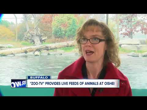 Zoo-TV provides live feeds for kids in OCH