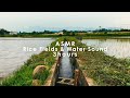 ASMR 睡眠 | 日本の田園風景の用水路の水の音 | 3時間 | water sound