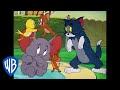 Tom & Jerry | Jerry and His Allies | Classic Cartoon Compilation | WB Kids