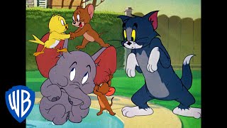 Мульт Tom Jerry Jerry and His Allies Classic Cartoon Compilation WB Kids