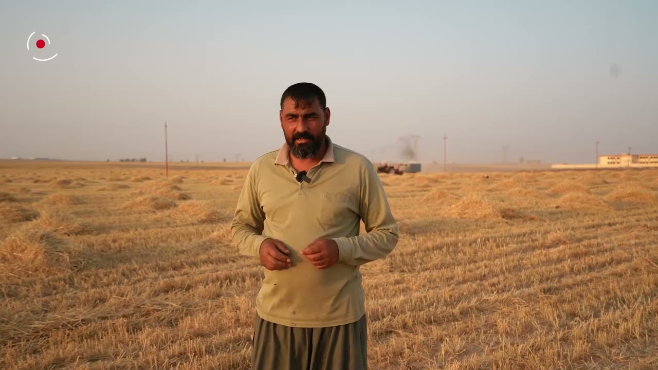 تعال نتعرف على التبن شنو نستفاد منه ... مع أنس الطائي