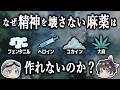 【ゆっくり解説】なぜ精神を壊さない麻薬は作れないのか？－薬物と相反過程理論－