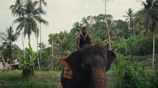 D-Double - Emotional Damage (Prod. Bien)