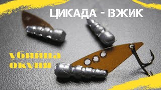 СУПЕР- БЛЕСНА пэт  ЦИКАДА - ВЖИК  ОКУНЬ ЗА НЕЙ  ЛЕТИТ КАК ДЖИГИТ