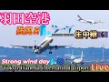 【2025/04/27（日）❷】🌀強風🍃日✈️𓈒羽田空港📸生中継【Live Narita international airport📸Live】【Gibson Narita】