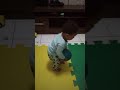 primeiros contatos com a bola.