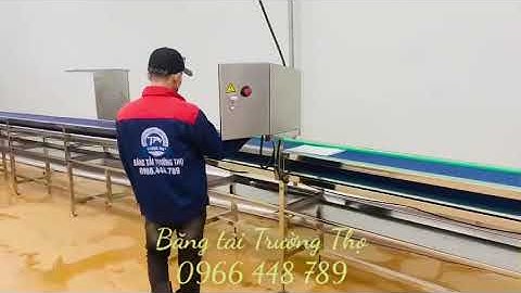 Băng tải xích nhựa modular, băng tải thực phẩm