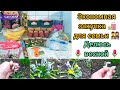 🧾🛒Экономная закупка 🛍️ для семьи 👨‍👩‍👧‍👦🌷Делюсь весной🌷#экономнаязакупка #закупка_продуктов #бюджет