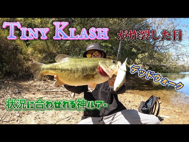 DRT】TiNY KLASH / タイニークラッシュ Low（TOKYO GOLD） - YouTube